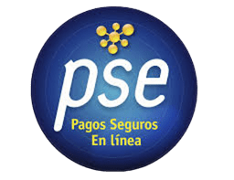 PSE